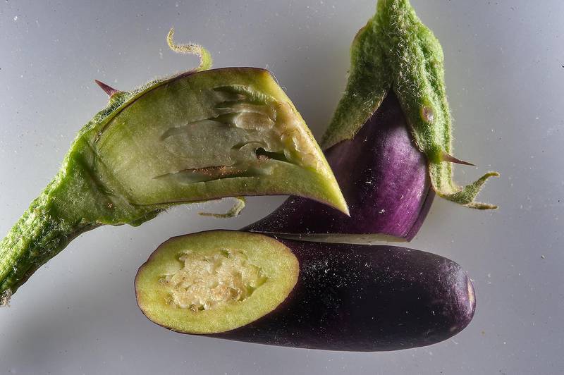 Fruits of eggplant (Solanum melongena) taken from entrance of Barzan Towers. Doha, Qatar, March 7, 2015