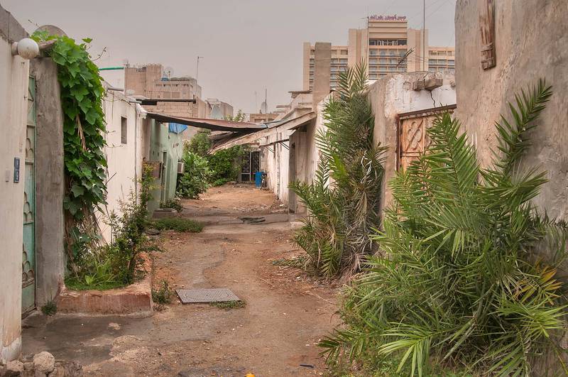 Alleyway separating residential units (sikka) with date palms (Phoenix dactylifera), near Sikkat Al Sakhaa, Musheirib area. Doha, Qatar, April 27, 2013