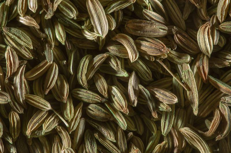 Fennel seeds from India (Foeniculum vulgare) for sale in spice section in Souq Waqif (Old Market). Doha, Qatar, December 23, 2014